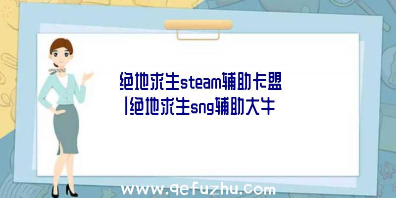 「绝地求生steam辅助卡盟」|绝地求生sng辅助大牛